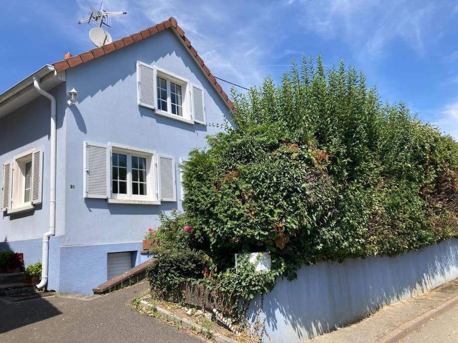 a blue house with a bush in front of it at Maison avec piscine privée au calme in Schlierbach