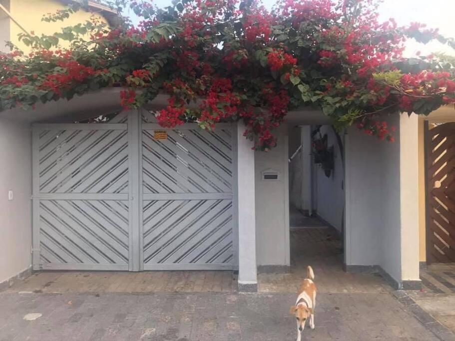 a dog standing in front of a garage with red flowers at Casa espaçosa 6 min da praia in Bertioga