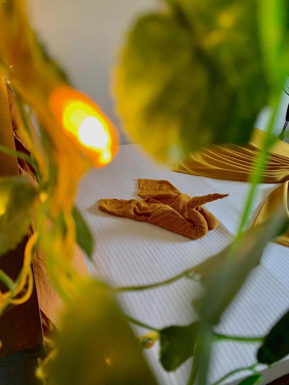 Fotografie z fotogalerie ubytování Green Leaf Resort v destinaci Ella