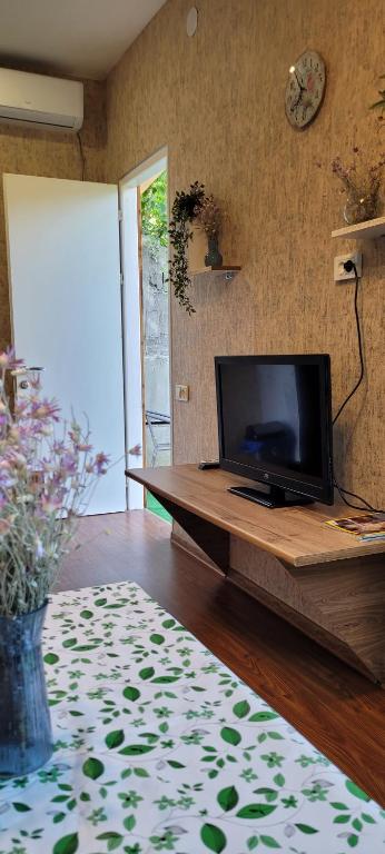 TV a/nebo společenská místnost v ubytování Dream House