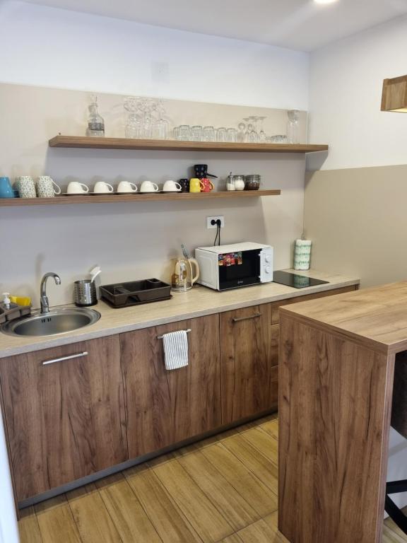 Kuchyň nebo kuchyňský kout v ubytování Apartman Mali Raj Zlatar