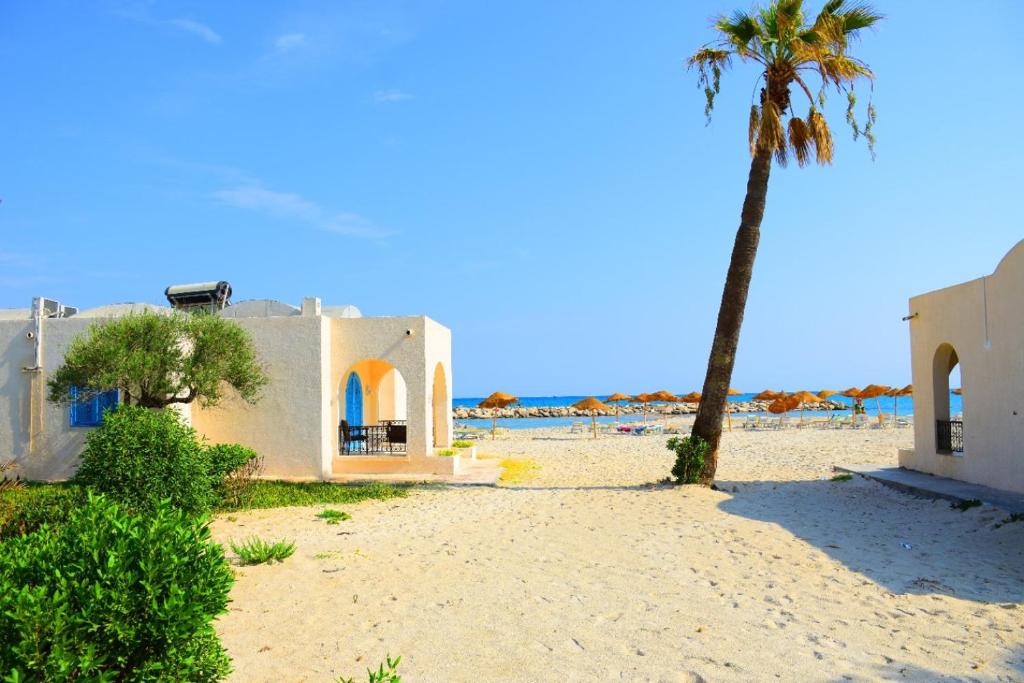 a palm tree and a house on the beach at Bungalow de Luxe en Bord de Mer a Nabeul in Bin Rhilouf