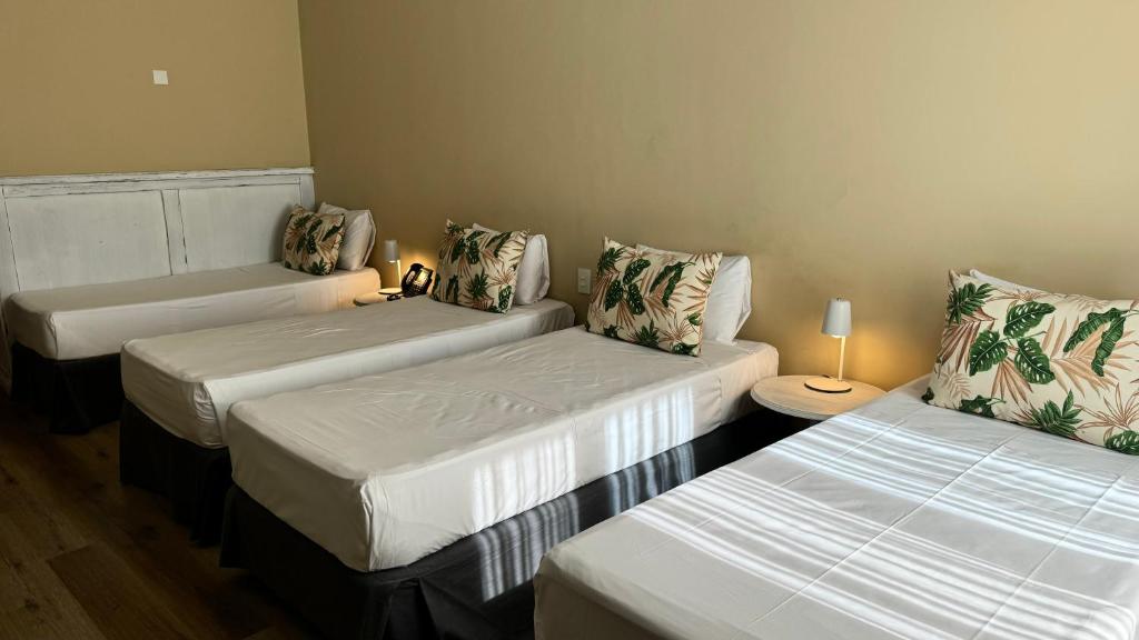 Gardi Hotel & Suites - Suite Junior