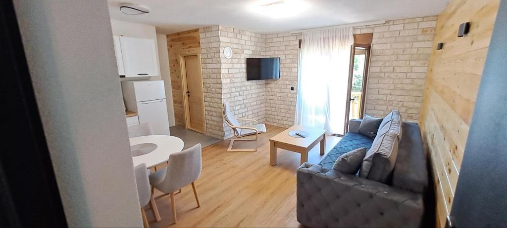 a living room with a couch and a table at Apartments S&S in Žabljak