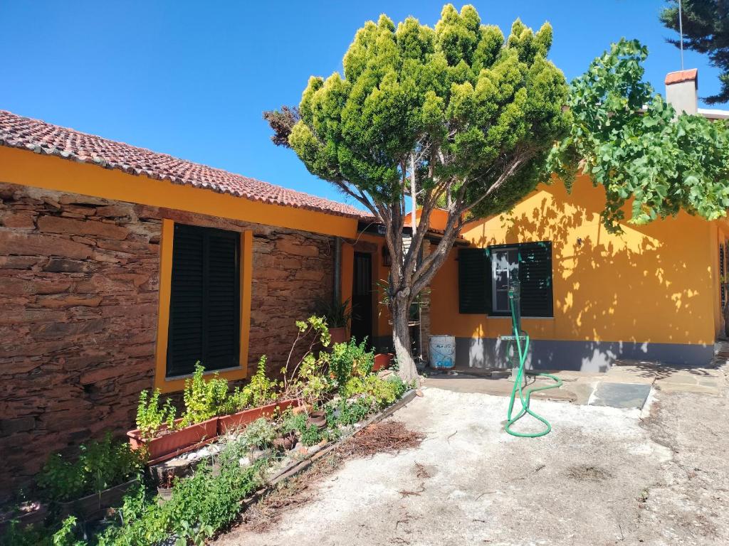 a house with a tree in front of it at Quinta de Canelas in Torre de Moncorvo