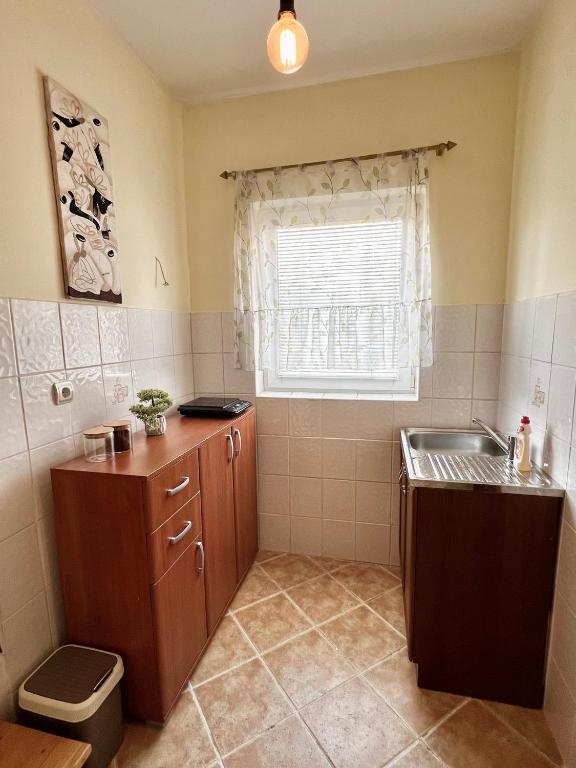 Kuchyň nebo kuchyňský kout v ubytování Apartman Rosić
