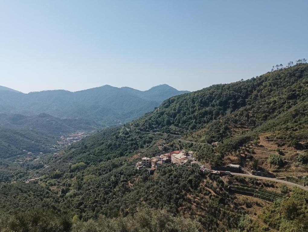 a view of a valley with trees and a road at CASA LORENZO SULLE COLLINE DI LEVANTO e VICINO ALLE CINQUETERRE LT-0620 in Levanto