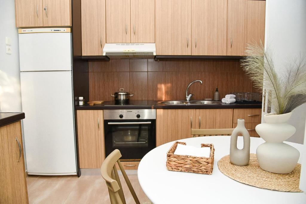 Kuchyň nebo kuchyňský kout v ubytování OASIS RESIDENCE