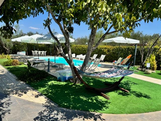 a swimming pool with a tree and chairs and umbrellas at Matera Villa Mater in Matera