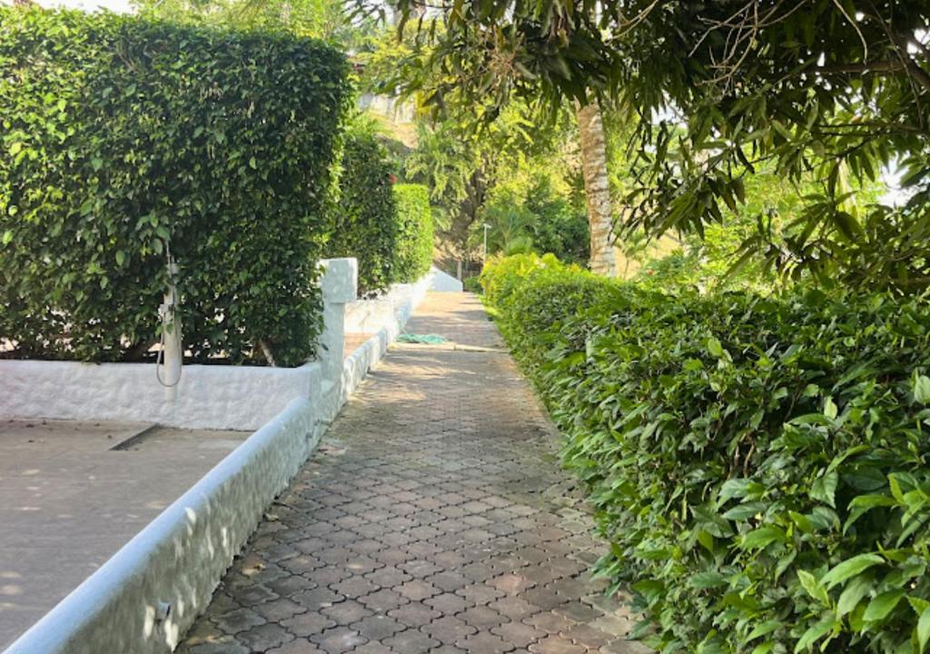 Zahrada ubytování Hermosa Casa de 3 pisos