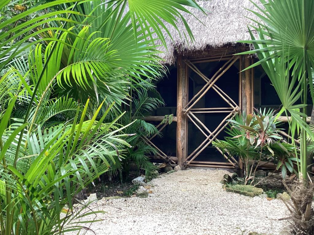 Zahrada ubytování Yaxchen Tulum Cabañas & Cenote