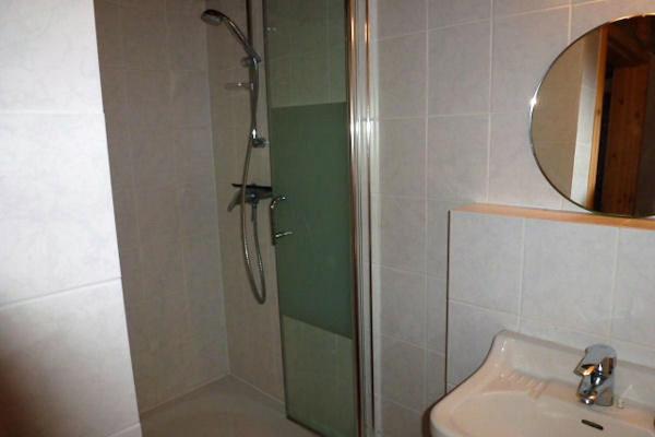 a bathroom with a shower and a sink and a mirror at Alte Schule in Tambach-Dietharz