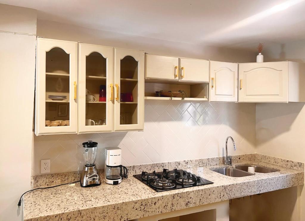 Kuchyň nebo kuchyňský kout v ubytování Suites ciento 37