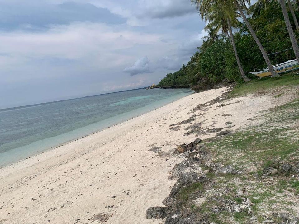 a sandy beach with palm trees and the ocean at palanas white sand beach resort in Himensulan