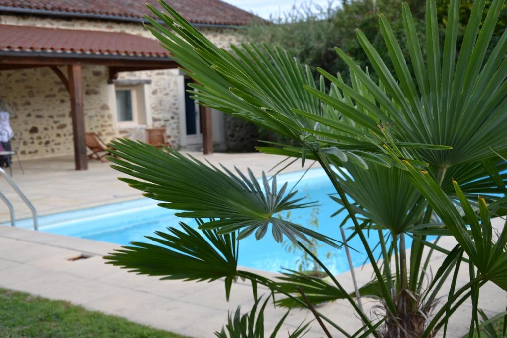 a palm tree in front of a swimming pool at La Boulangeraie in Saint-Junien