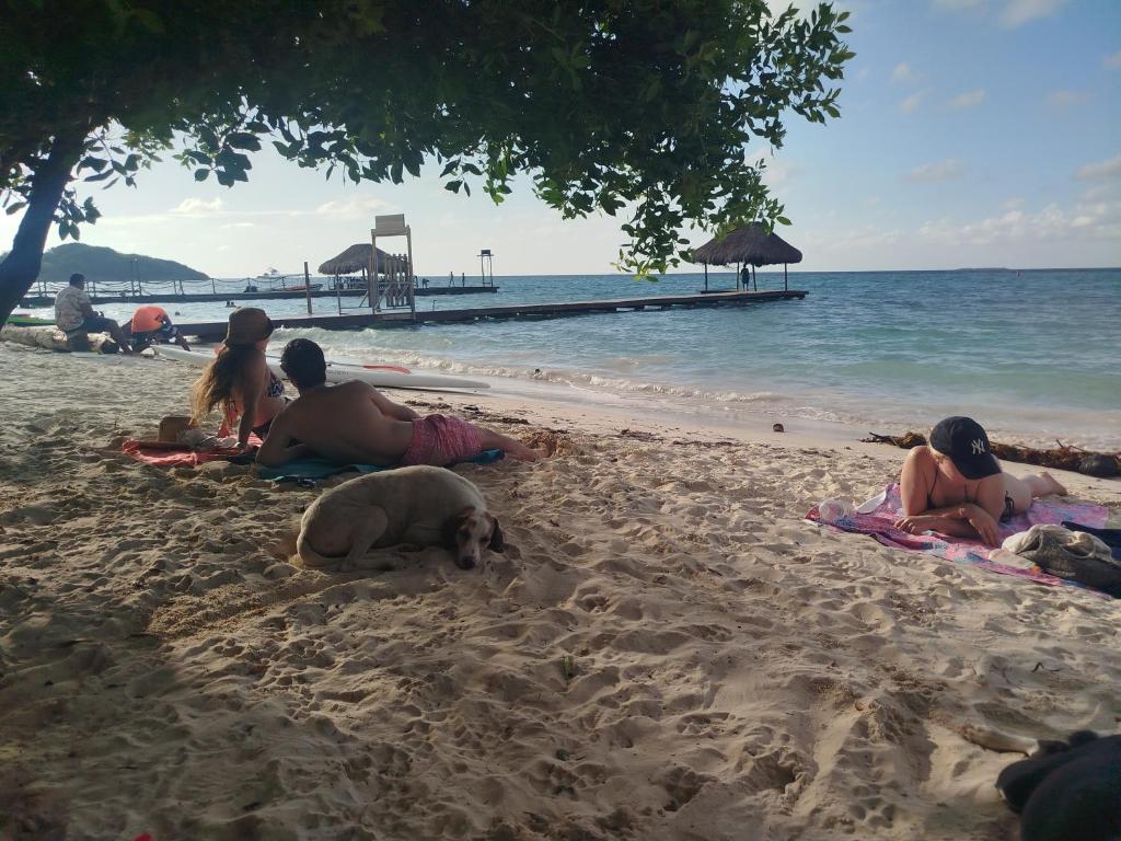 Mejores Hoteles en Isla Grande | Islas del Rosario 589165707