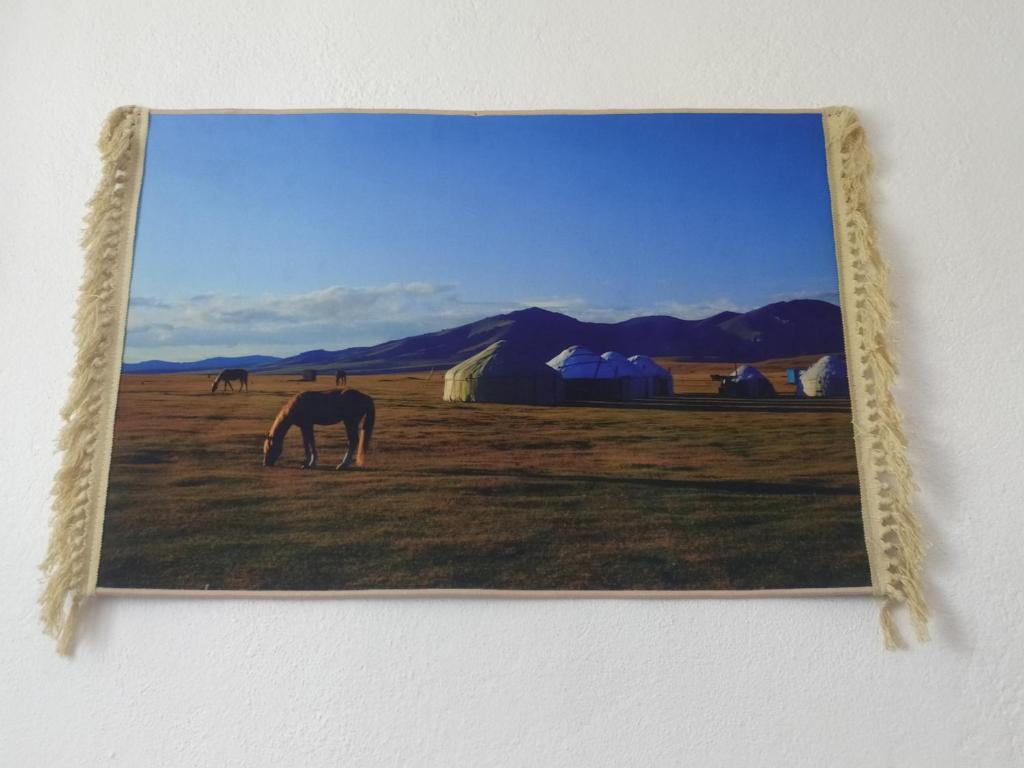 Fotografie z fotogalerie ubytování guest house twins v destinaci Kochkorka