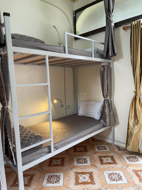 Downtown Backpacker Hostel - 9