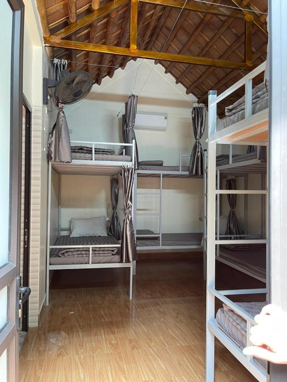 Downtown Backpacker Hostel - 17