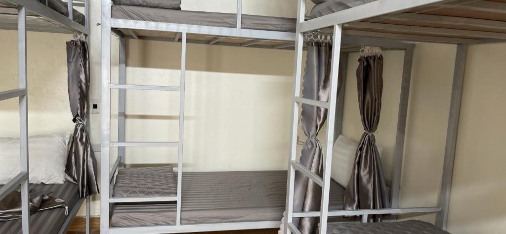 Downtown Backpacker Hostel - 16