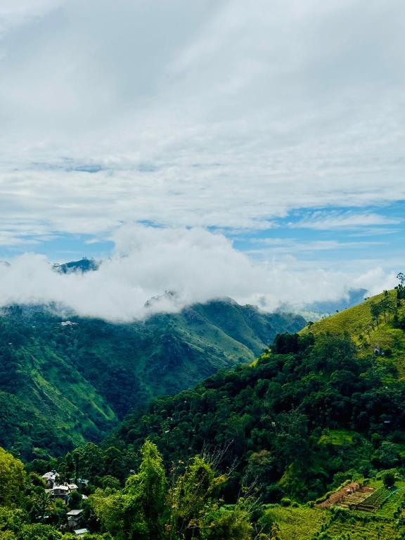 Will Guest Homestay - 2