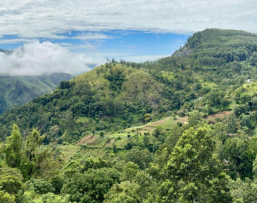 Will Guest Homestay - 5