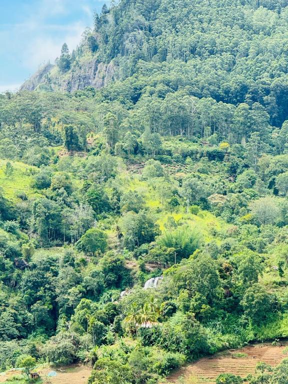 Will Guest Homestay - 4