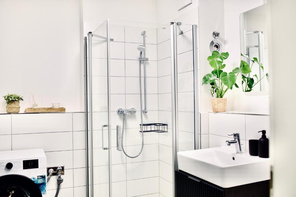 Neue Wohnung im Zentrum
