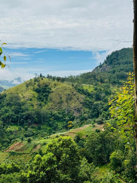 Will Guest Homestay - 套房与山景