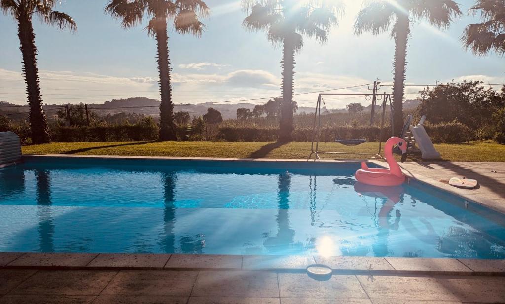A piscina localizada em Entre Pomares ou nos arredores