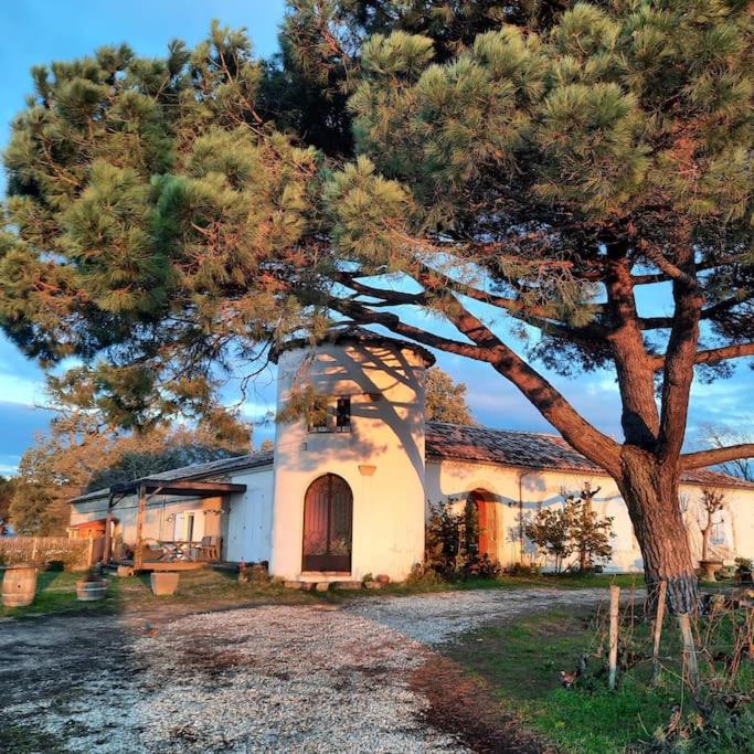 un grand pin devant une maison dans l'établissement Le Castèl de Lamothe, à Sauternes
