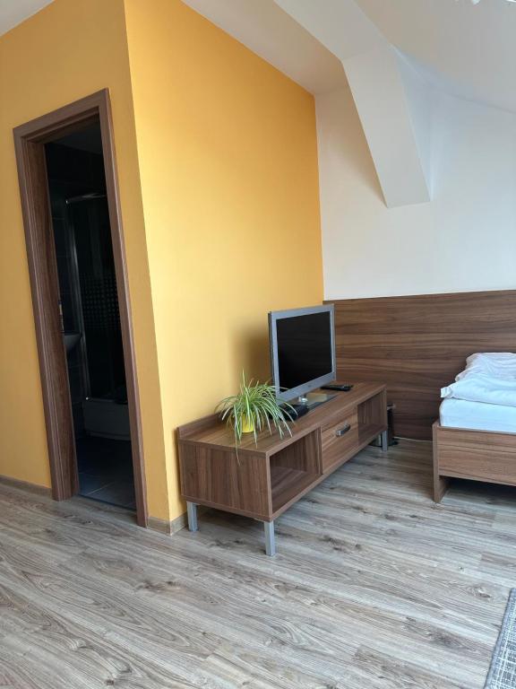 TV a/nebo společenská místnost v ubytování Penzion Blatnička