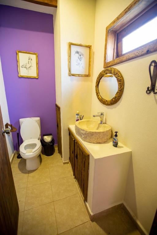 bagno con servizi igienici e lavandino con specchio di Hotel Estancia 1928 a Zacatlán
