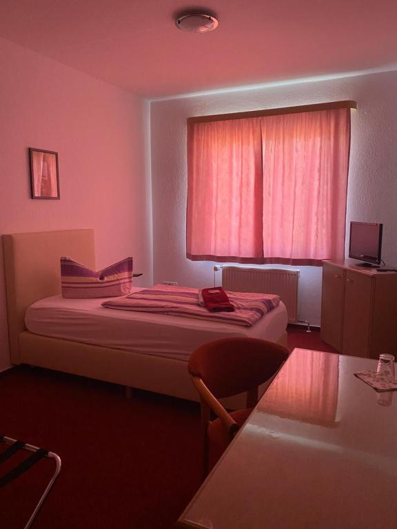 Hotel zum Jahnatal - Single Room