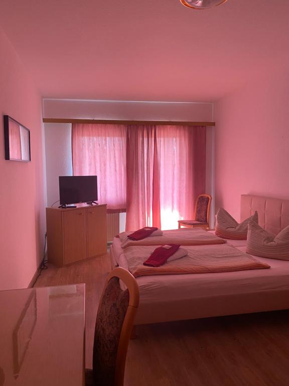 Hotel zum Jahnatal - Double Room