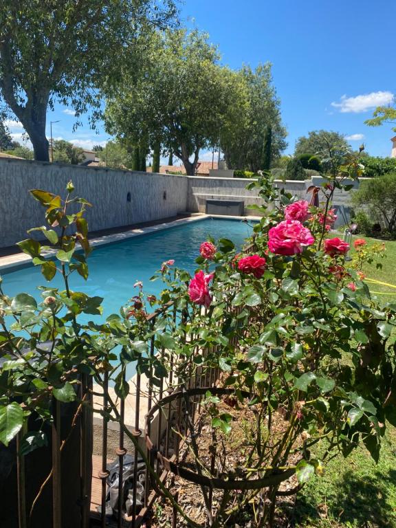 Bazén v ubytování A l'ombre des oliviers nebo v jeho okolí