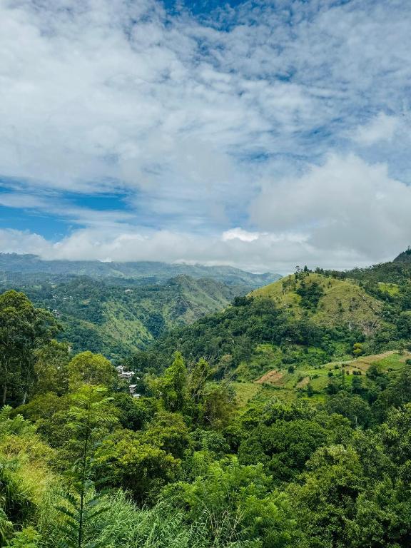 Will Guest Homestay - 6