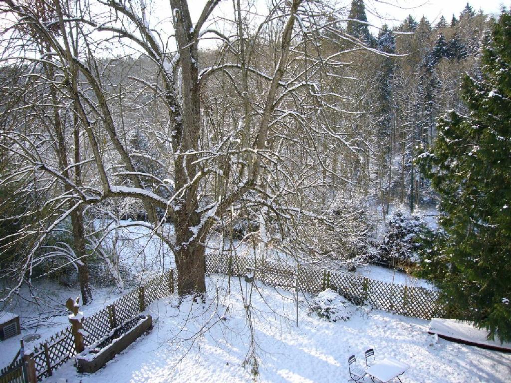 un parque cubierto de nieve con un árbol y una valla en Burghof Wallhausen, en Constanza
