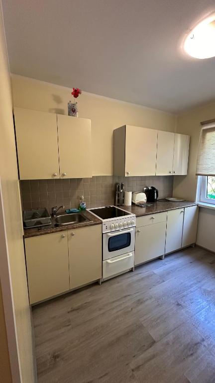 Kuchyň nebo kuchyňský kout v ubytování Apartment on Karja