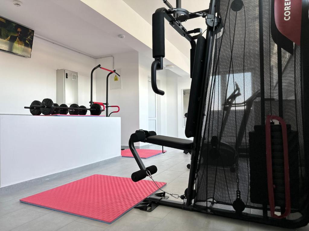 Fitness centrum a/nebo fitness zařízení v ubytování Hotel YVY