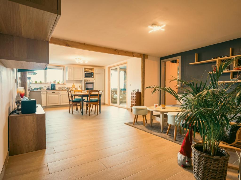 Kuchyň nebo kuchyňský kout v ubytování Appartement SPA VIP Pont Alsort