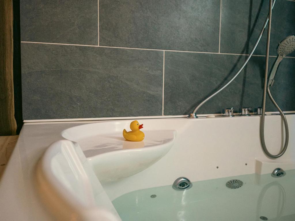 Koupelna v ubytování Appartement SPA VIP Pont Alsort