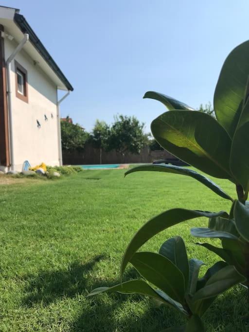 Zahrada ubytování KırlangıçEvi