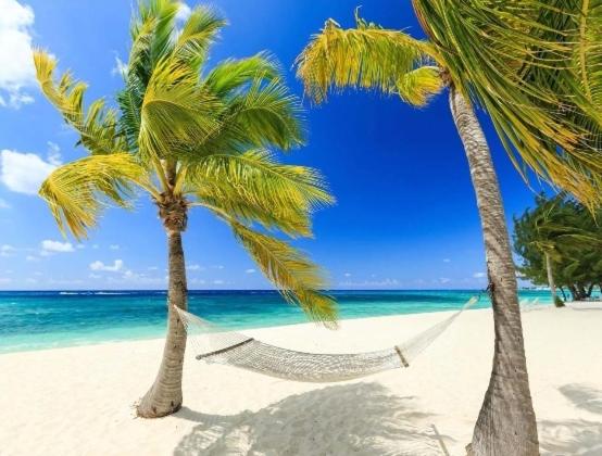 - un hamac entre deux palmiers sur une plage dans l'établissement Luxury Coral Dream, à Playa del Carmen