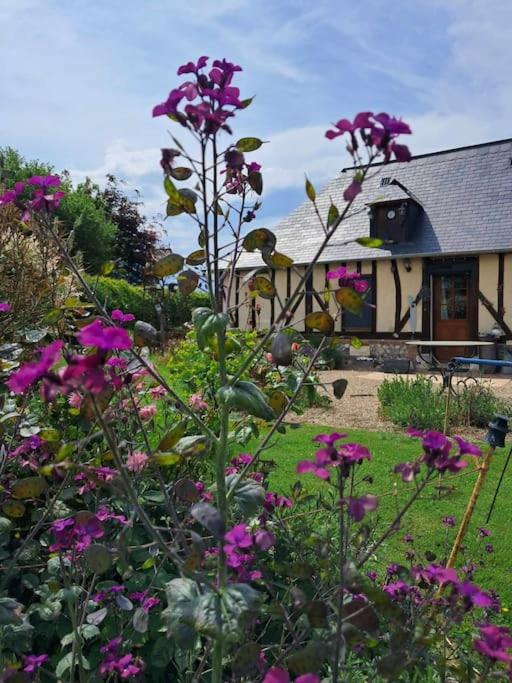 un jardin avec des fleurs violettes devant une maison dans l'établissement Maison typique normande- Le Gite du chat bleu, à Illeville-sur-Montfort