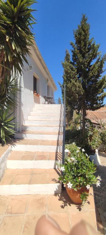 Zahrada ubytování B&B Cortijo Loma León