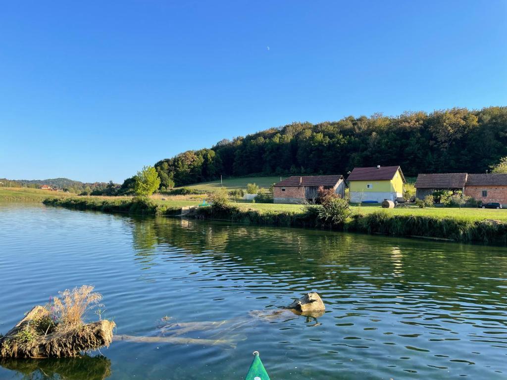 two ducks swimming in a river with houses in the background at HH Klara in Ozalj
