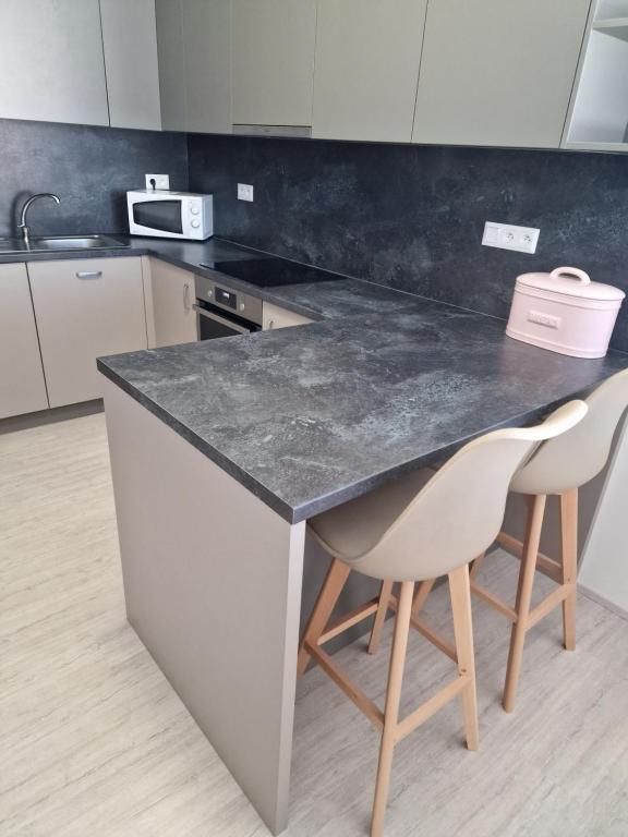 Kuchyň nebo kuchyňský kout v ubytování GLAM apartmán Bučovice