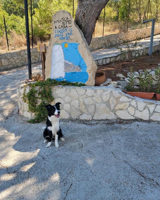 Κατοικίδιο ή κατοικίδια επισκεπτών που μένουν στο Residence Dolce Far Niente