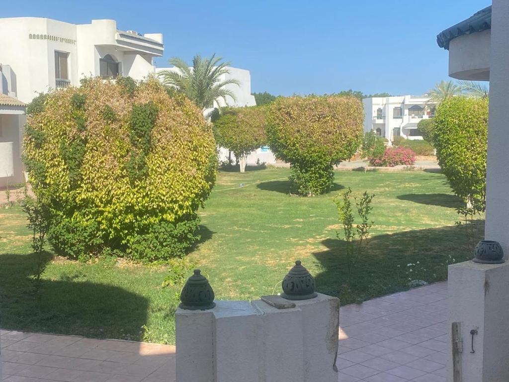 widok na dziedziniec z krzakami i drzewami w obiekcie Sharm El Sheikh Naama Bay Sun shine Resort w Szarm el-Szejk